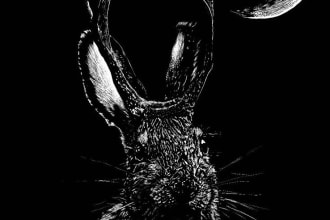 draw a detailed black and white illustration