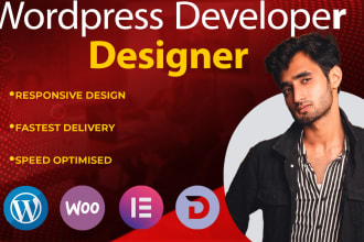build a modern SEO friendly fully responsive wordpress website