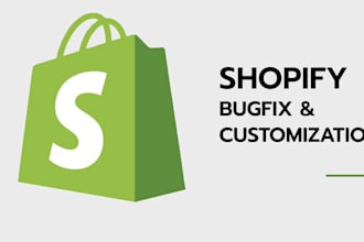 fix shopify errors, bugs and technical issues