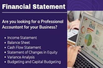 prepare financial statement, balance sheet, profit and loss and cash flows