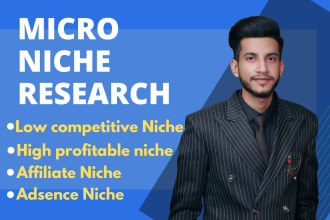 do high profitable low competitive micro SEO niche research