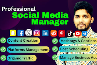 be your social media manager, content creator, pinterest marketer for promotion