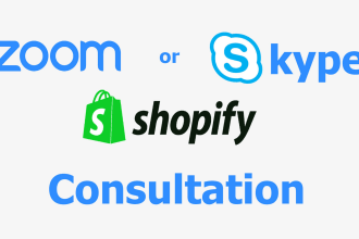 do consultation of your shopify project on zoom or skype
