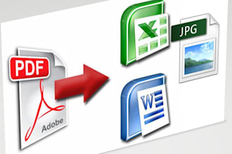 convert PDF, png, jpeg, jpg to excel or word by 3 hours