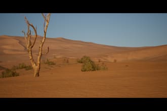 develop realistic environments for you in unreal engine