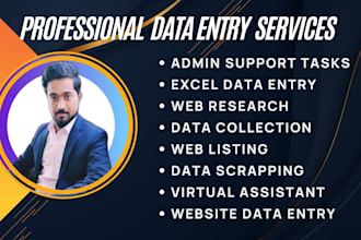 do any type of online or offline data entry with full accuracy