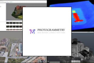 photogrammetry process and point cloud, lidar works
