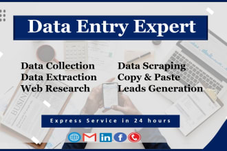 do excel data entry, market research, data scraping, leads generation in 24 hour