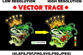 vector trace, convert logo or image in vector file high resolution