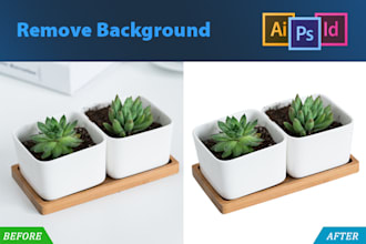 remove backgrounds flawlessly for your products