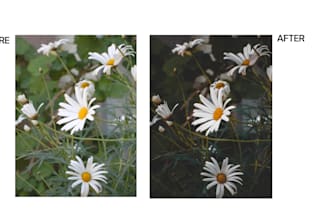 do photo editing in lightroom