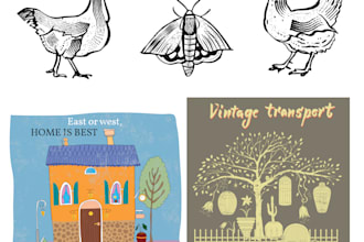 draw hand drawn vector art in adobe illustrator