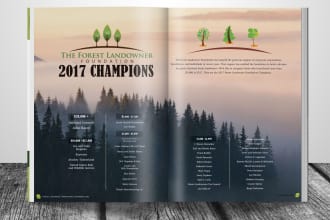 layout and design your magazine or catalog
