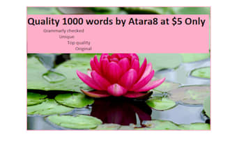 write outstanding 1000 words article for you