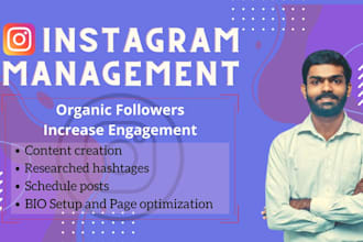 organically grow your instagram account or page