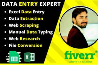 do excel data entry, web research, copy paste and file conversion
