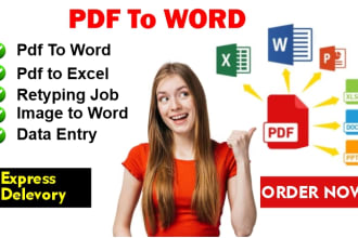 excel data entry, virtual assistant, file conversion, typing