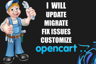 update, migrate, fix issues or customize opencart store