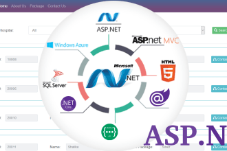 do asp net, net core, mvc, blazor and API applications