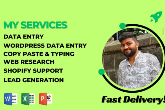 do fastest excel data entry job,copy paste,typing work,web research