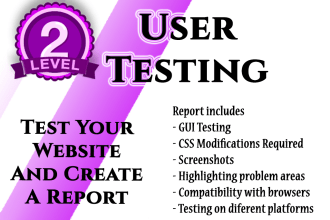 test your website from a user perspective and write a report