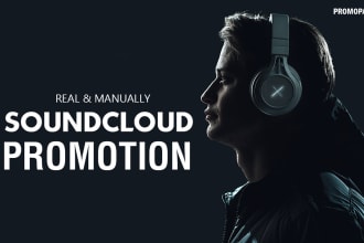 do premium soundcloud promotion through my wide network