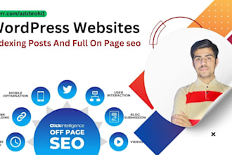 fix index issue in wordpress website posts with on page SEO