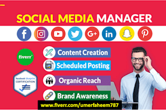 be your social media marketing manager, social content guru