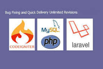 fix bugs in codeigniter, laravel and core php