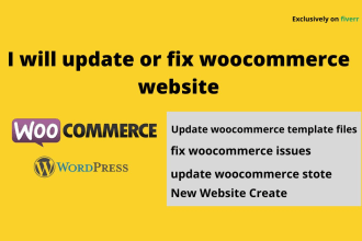 update or customize fix woocommerce store websites