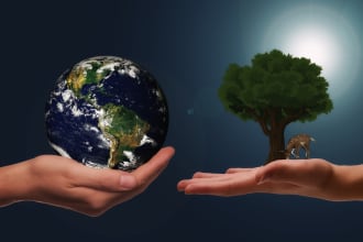 write on environmental engineering and sustainability