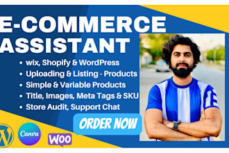do excel and wordpress data entry, woocommerce product upload and blog post VA