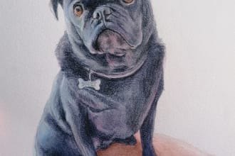 draw a realistic portrait of your pet