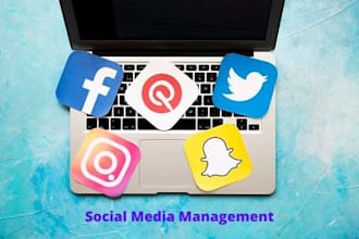 be your social media manager, content creator and advertiser