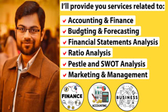 be the accounting and finance consultant for your business