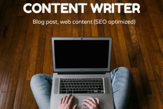be your content writer blog post writer
