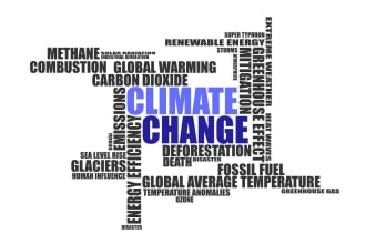 write articles and blog post on environmental issues