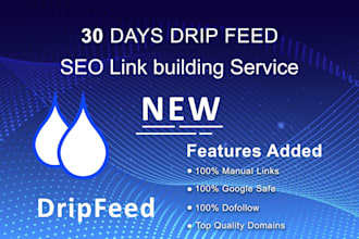 submit 30 days drip feed  service