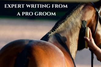 write your SEO horse grooming blog or horse care blog