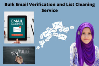 provide bulk email verification and list cleaning service