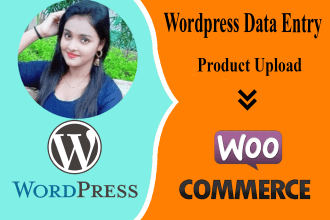 be professional wordpress data entry VA
