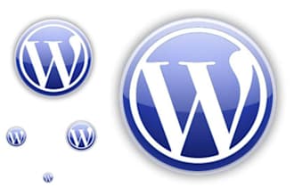 help you to install wordpress theme and teach you how to use it