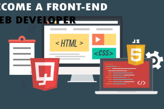 teach you html,css,java script online coding lessons