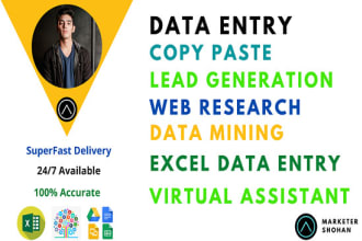 find email using linkedin sales, excel data entry, data cleansing