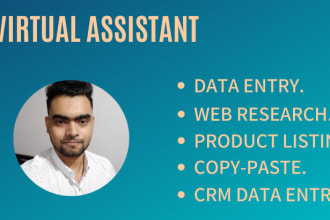 virtual assistant for data entry web research