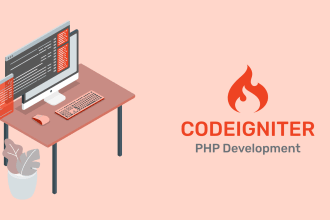 be your expert  PHP, codeigniter developer
