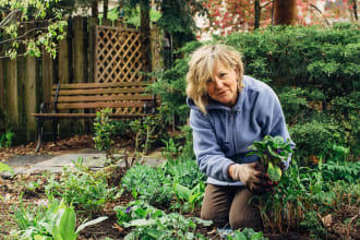 create SEO gardening, horticulture and hydroponics blogs