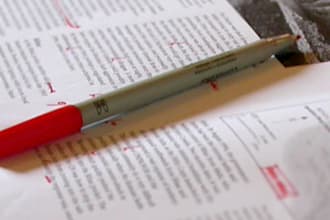 proofread or copyedit up to 1,750 words