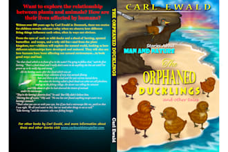 create an amazing book cover