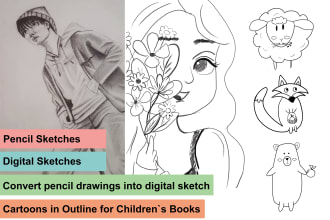 draw realistic pencil sketch or digital sketch illustrations